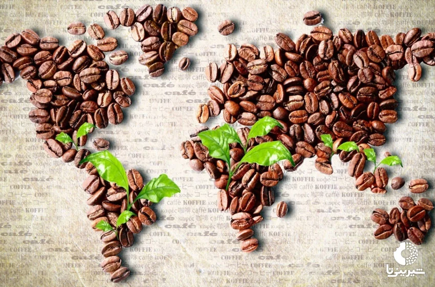 مصرف-قهوه-در-جهان